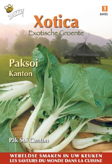 Pak Choy (Brassica rapa) 700 seeds BU
